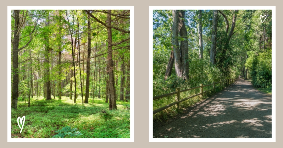 State Parks of Rhode Island